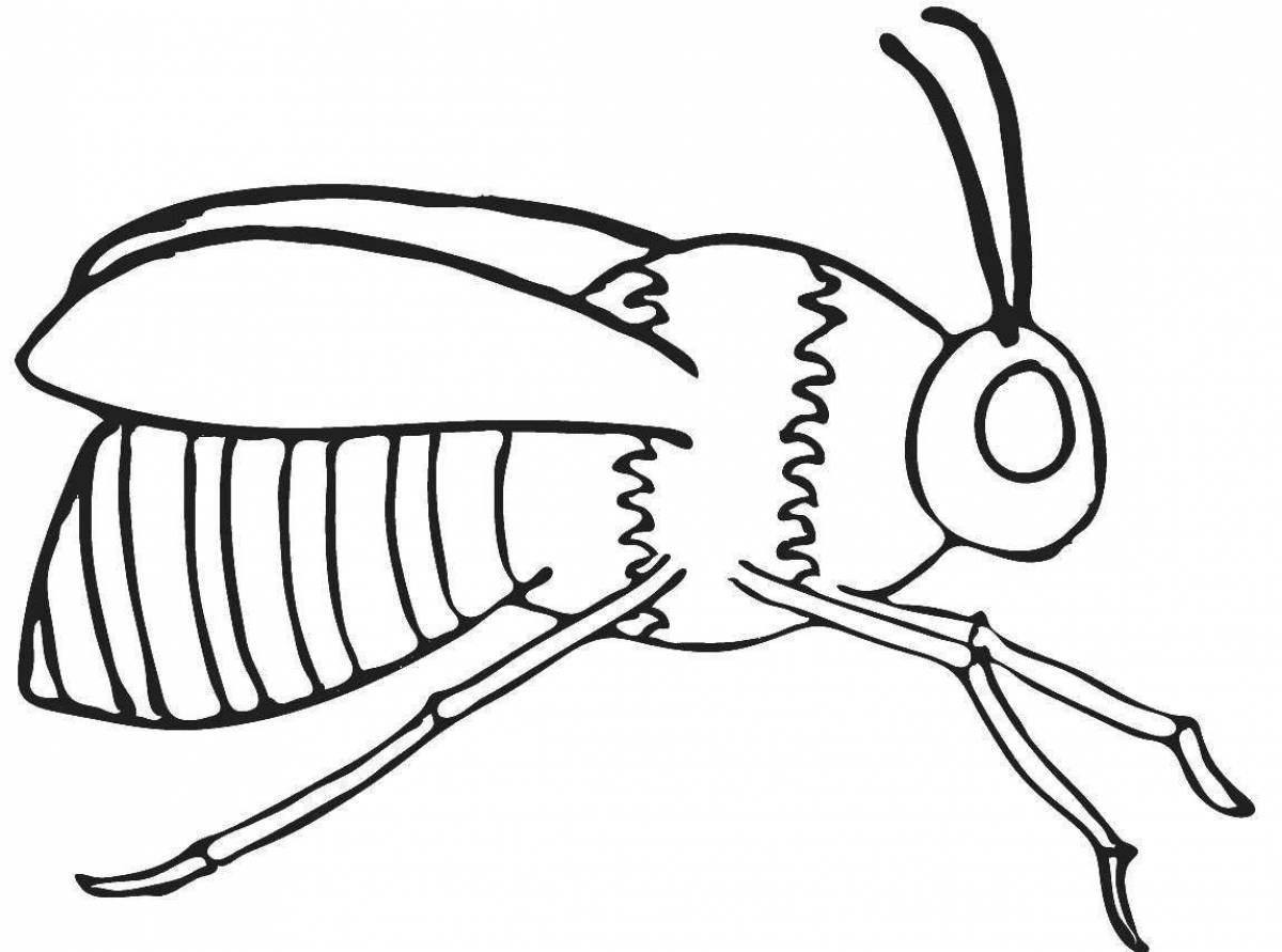 Fun coloring pages of insects for kids