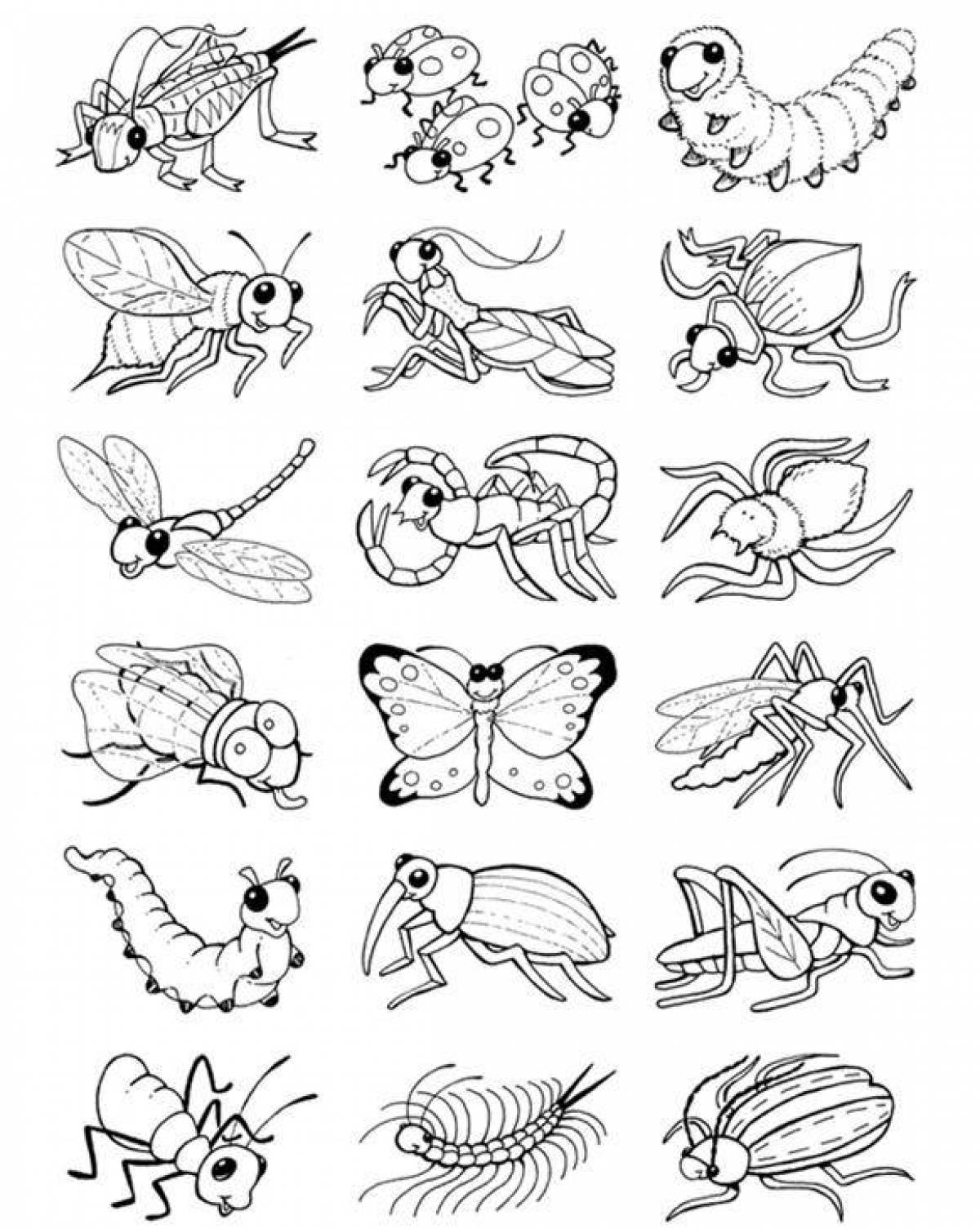 Невероятные раскраски насекомых для детей