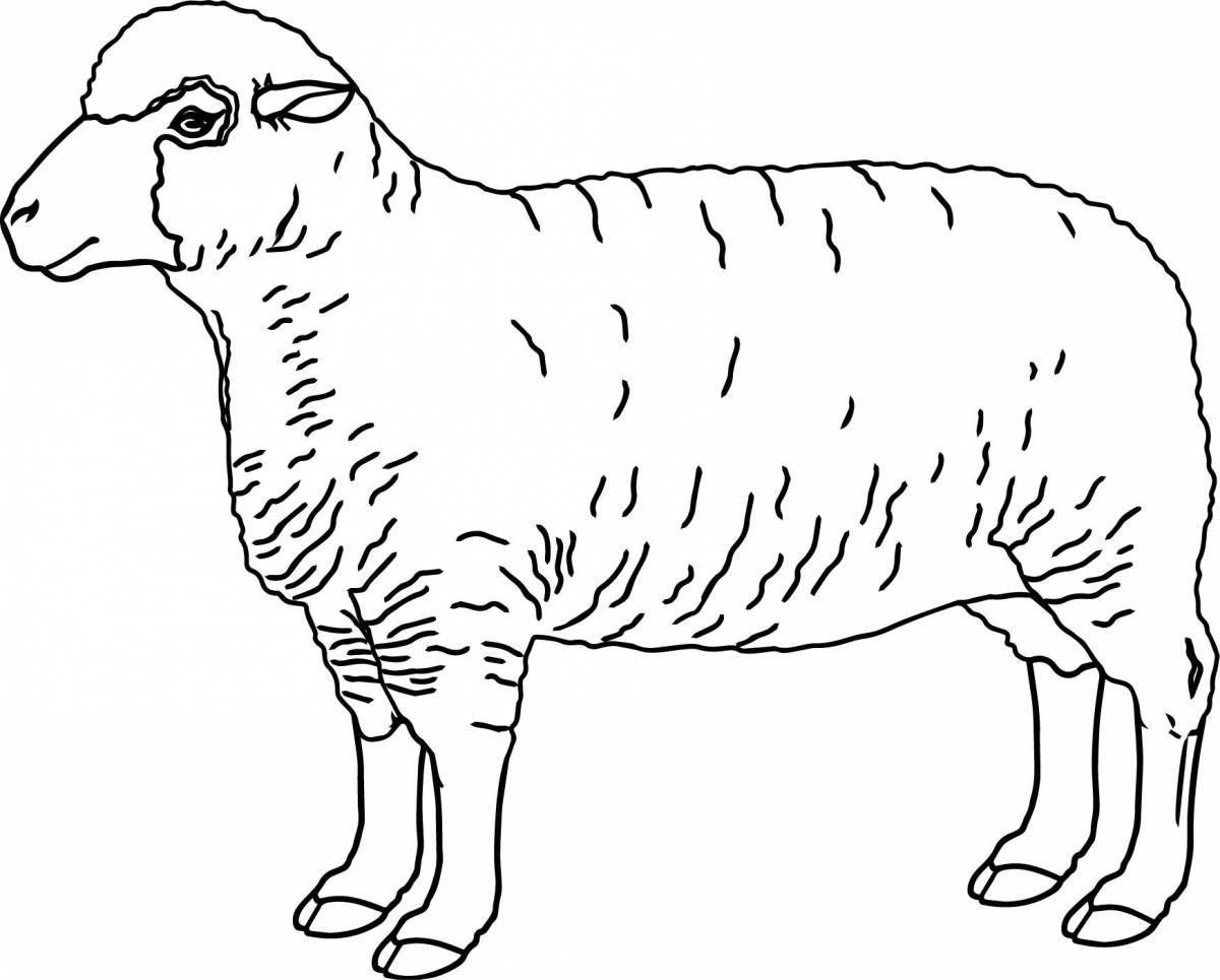 Adorable ram coloring book for kids