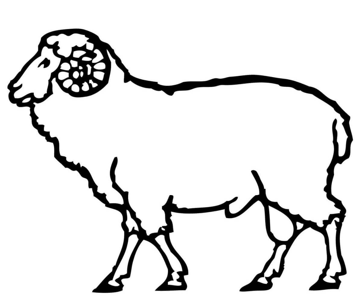 Creative ram coloring for kids