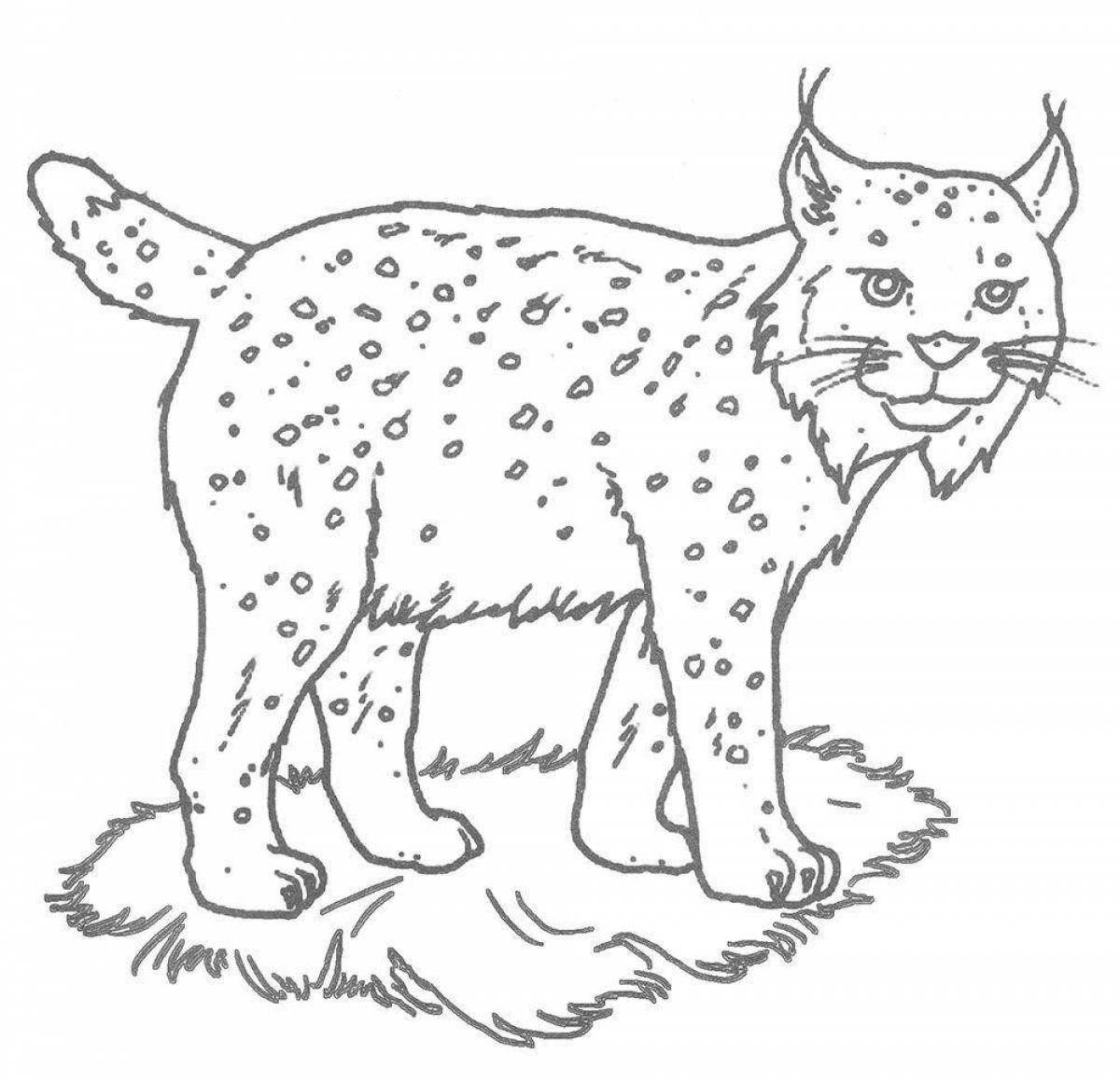 Colorful lynx coloring page for kids