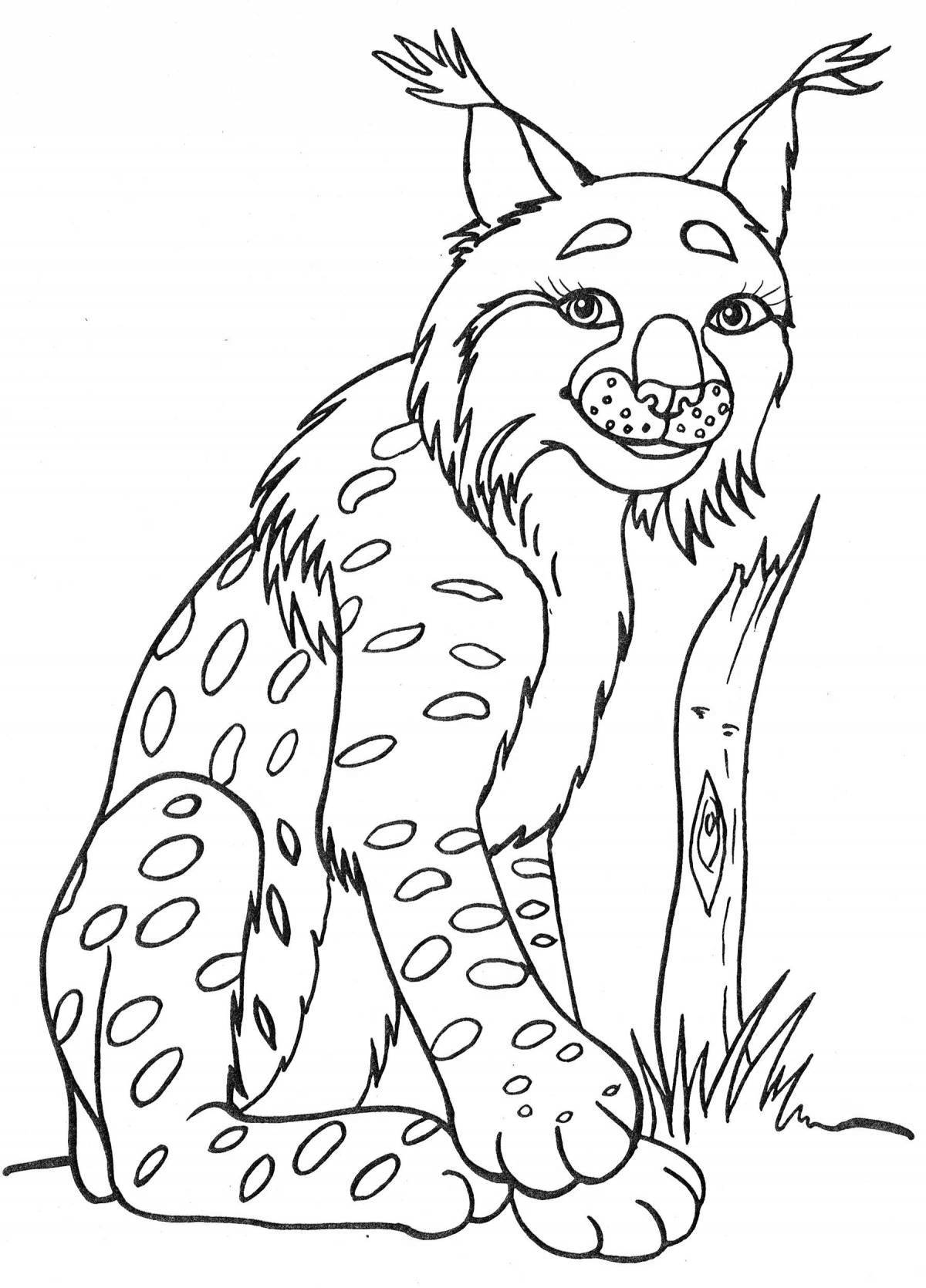 Bright lynx coloring book for kids