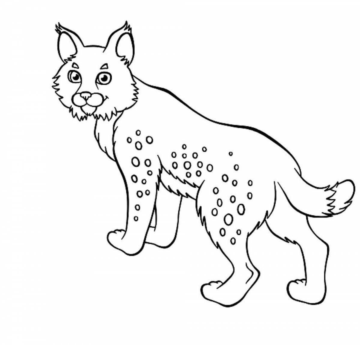 Fun lynx coloring for kids