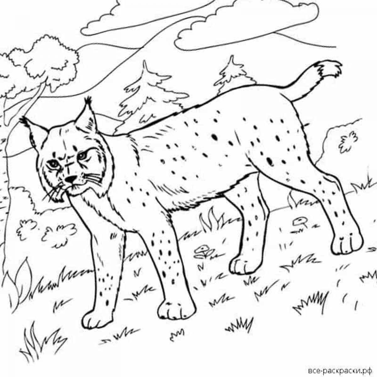 Lynx fun coloring book for teens