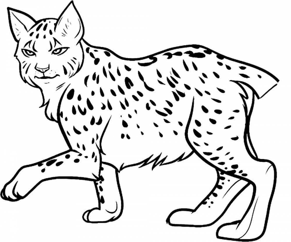 Lynx coloring book for beginners