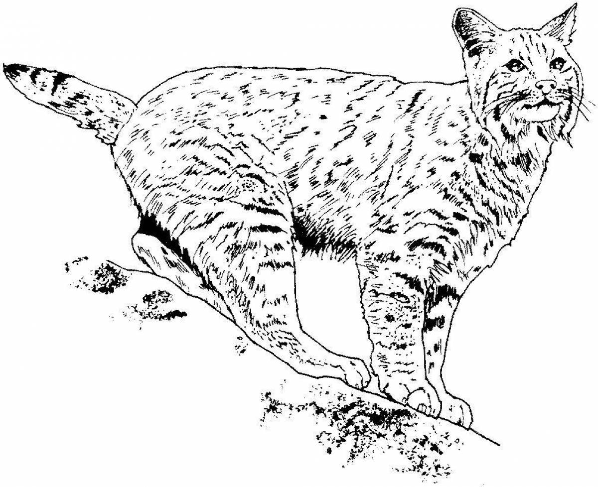 Fantastic lynx coloring for schoolchildren