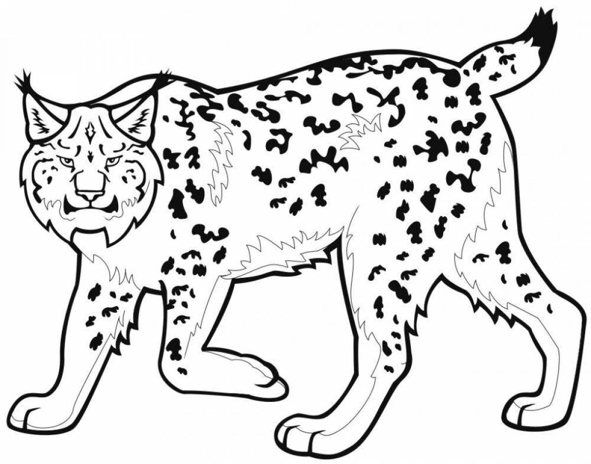 Amazing lynx coloring page for kids