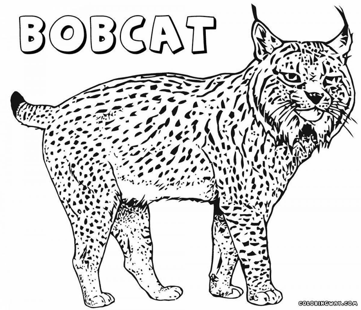 Great lynx coloring book for kids