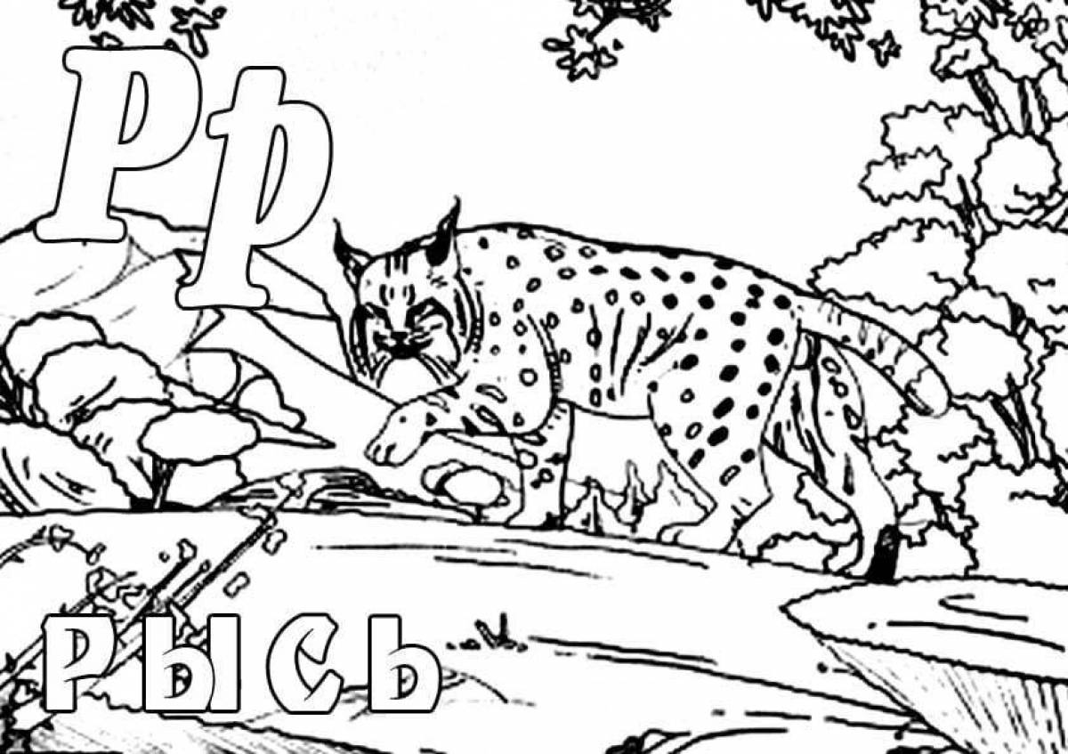 Great lynx coloring for kids