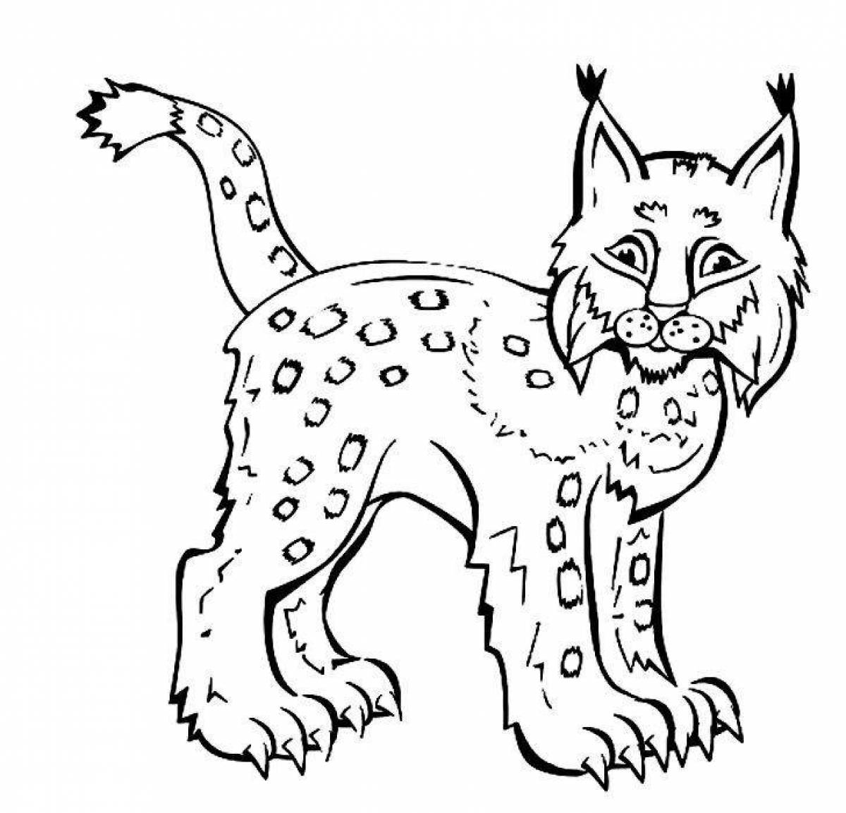 Coloring book dazzling lynx for beginners