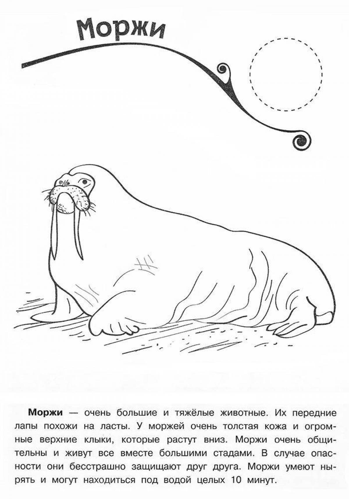 Beautiful animals of the red book of Russia