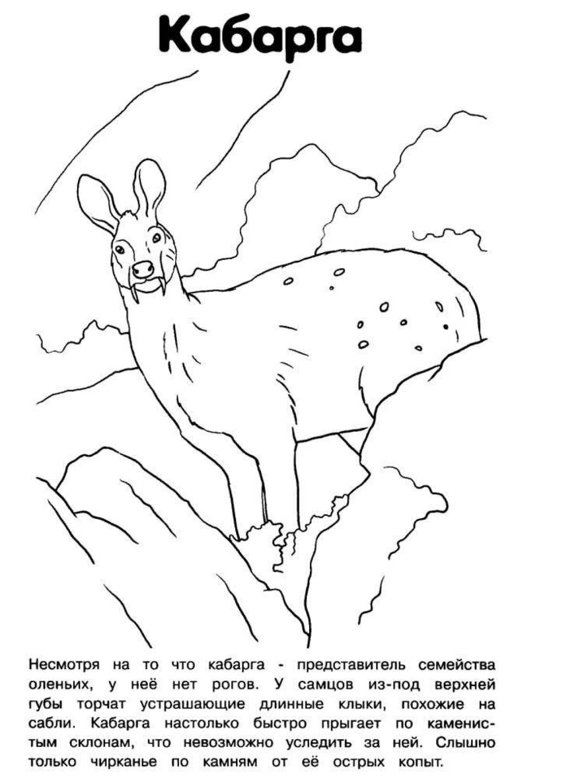 Rare animals of the Red Data Book of Russia