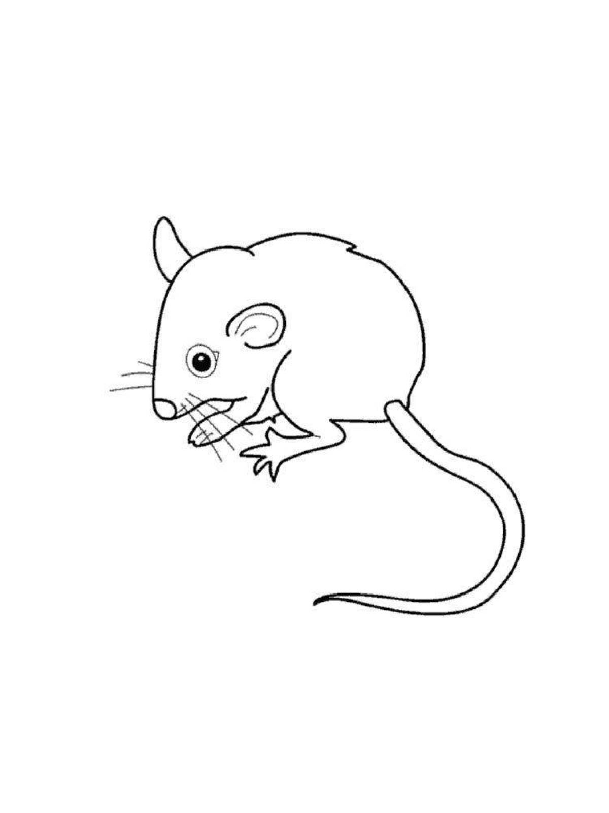 Раскраска мышь распечатать. Мышь раскраска. Раскраска Миша. Раскраска мышонок. Мышь раскраска для детей.