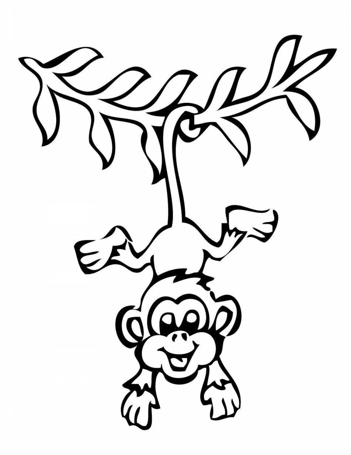 Fancy monkey coloring book for kids
