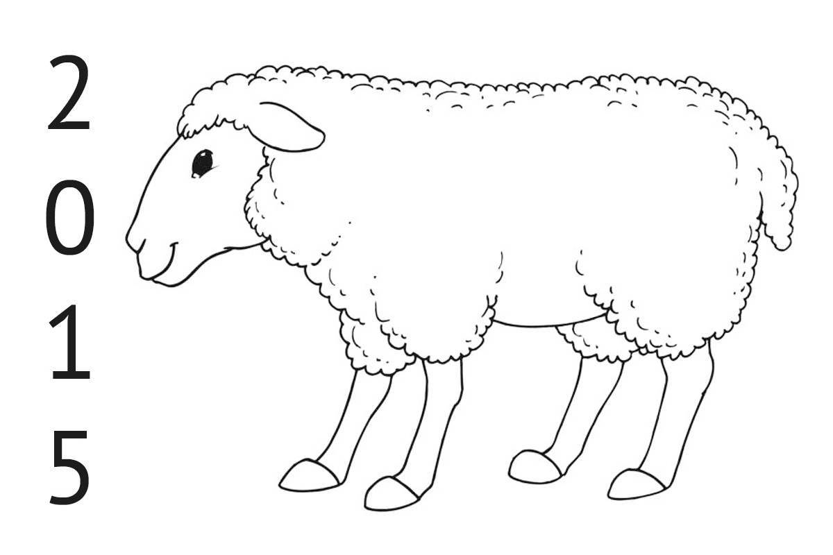 Adorable lamb coloring book for kids