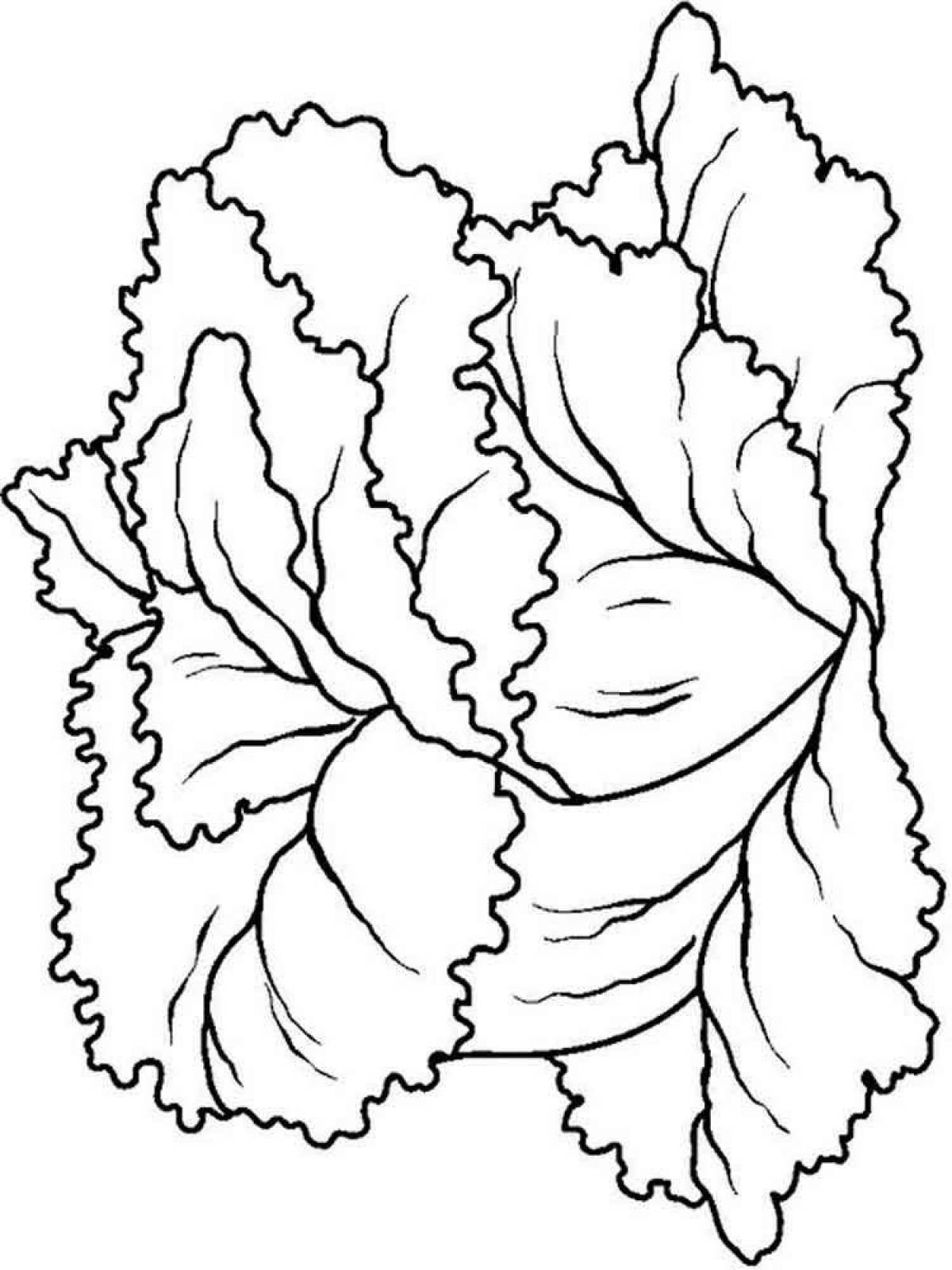 Colorful lettuce coloring page