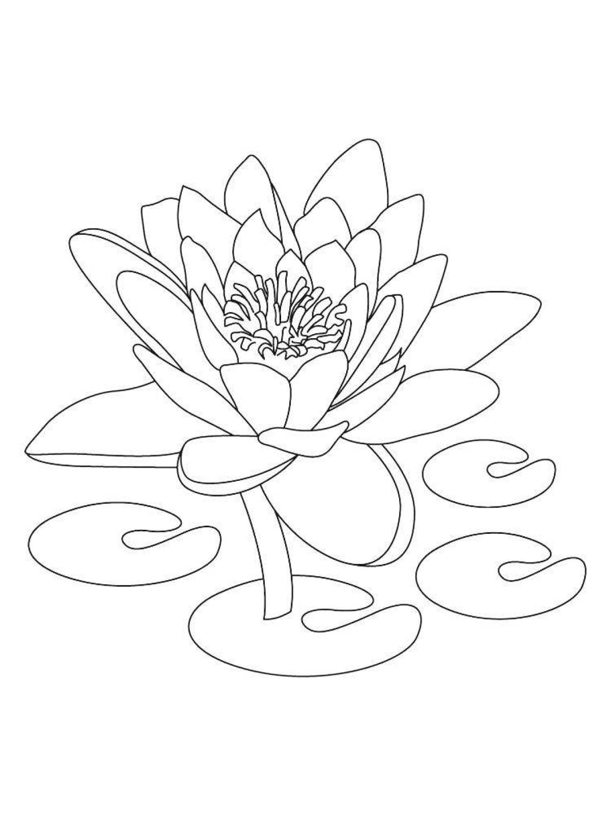 Coloring majestic lotus