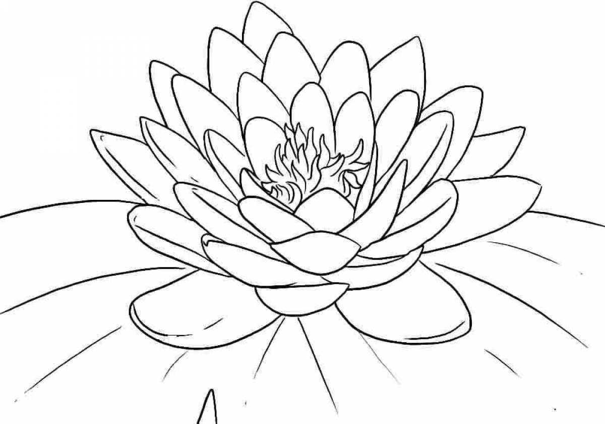 Coloring page gentle lotus