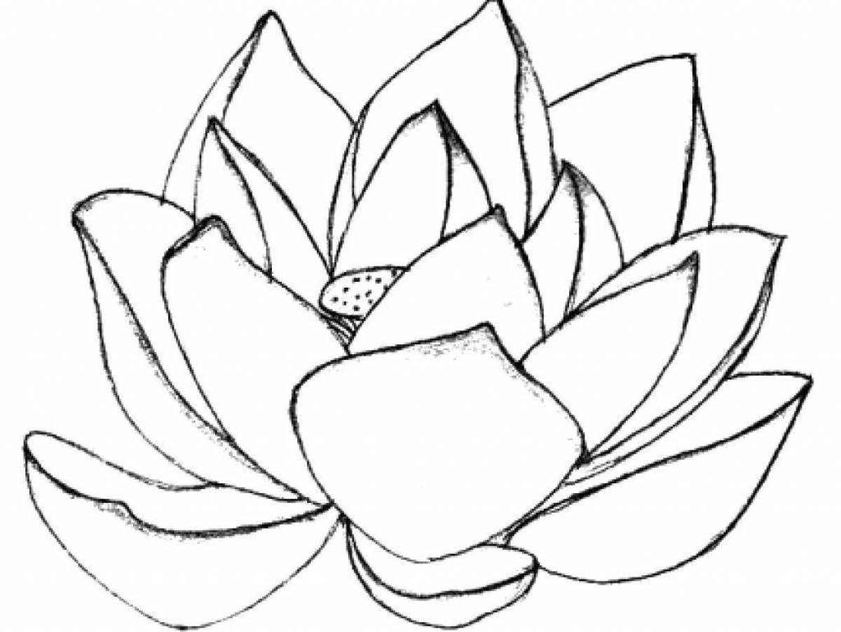 Coloring shining lotus