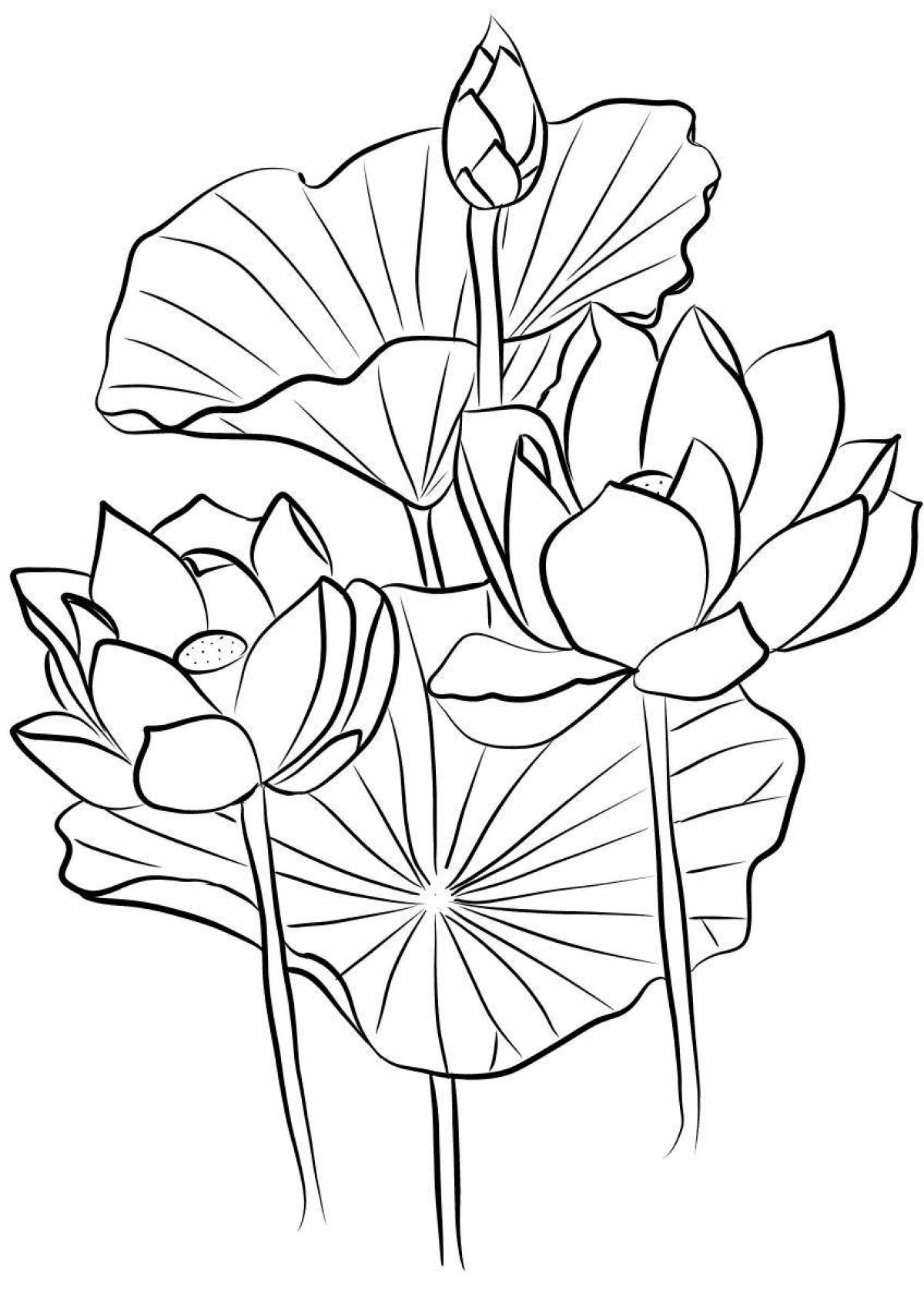 Adorable lotus coloring page