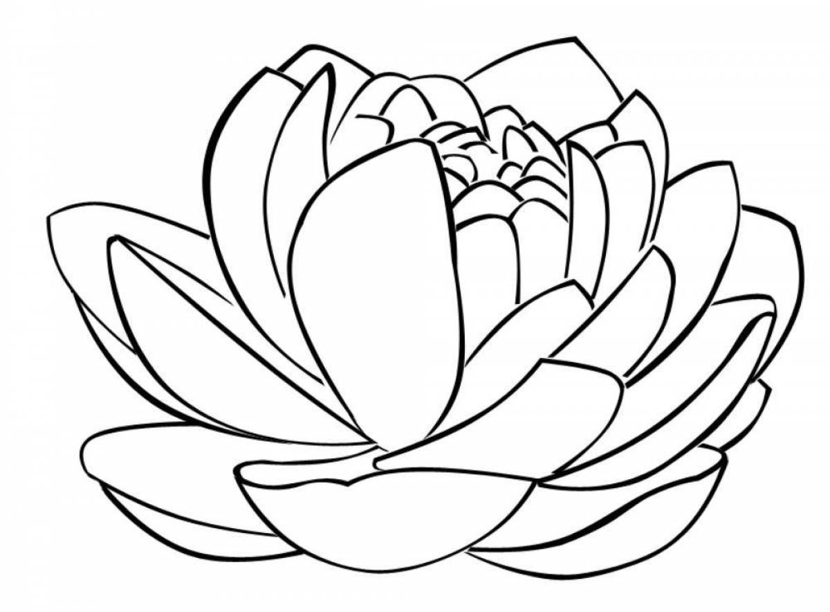 Coloring serene lotus