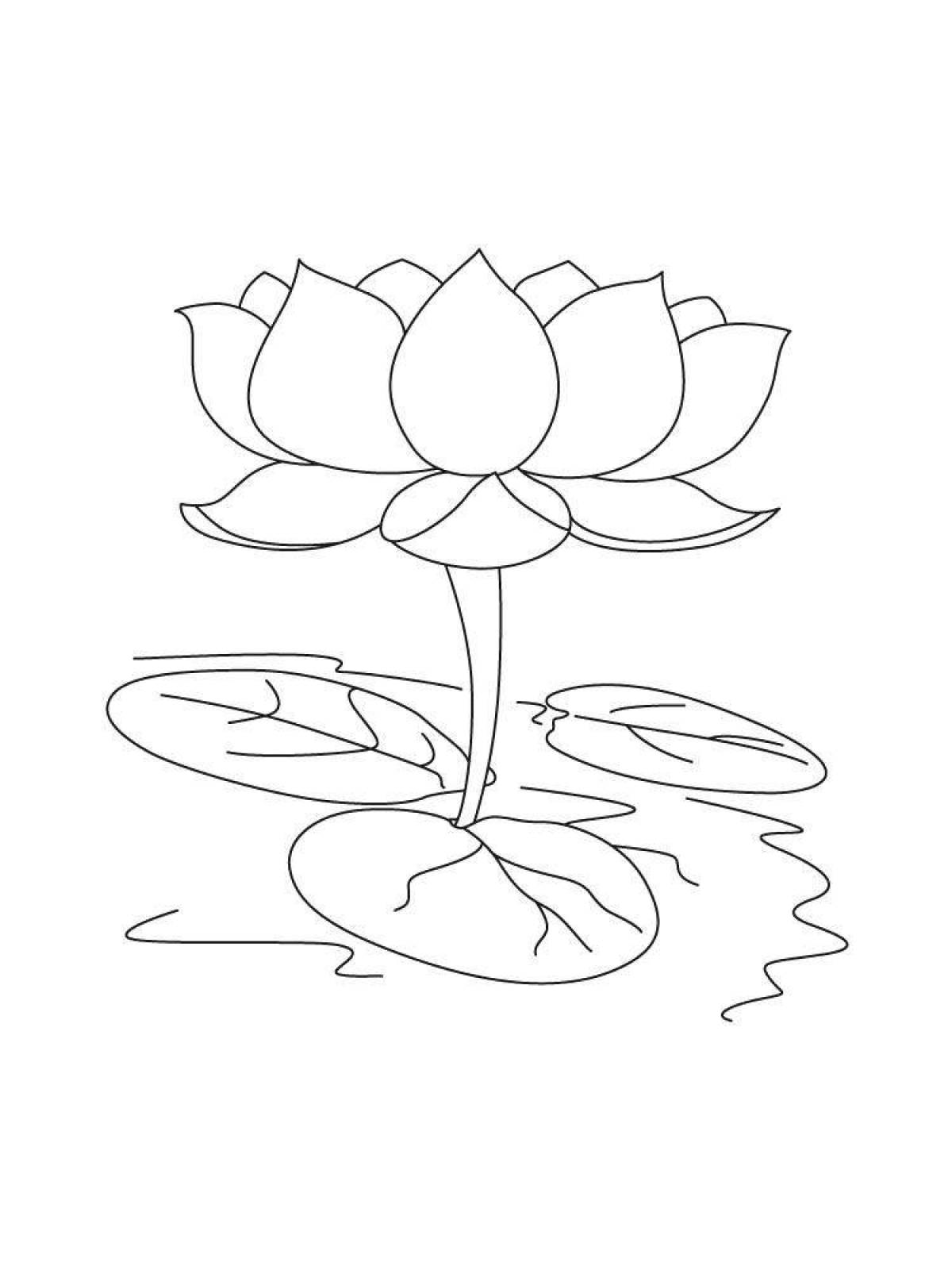 Lovely lotus coloring page