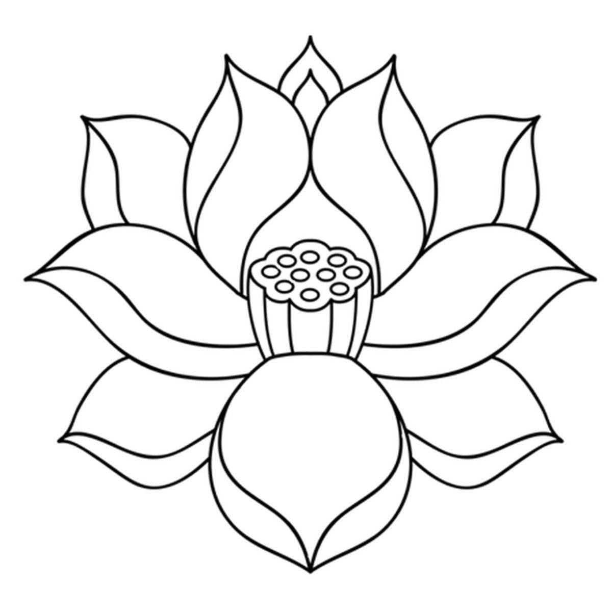 Цветок лотоса контурный рисунок