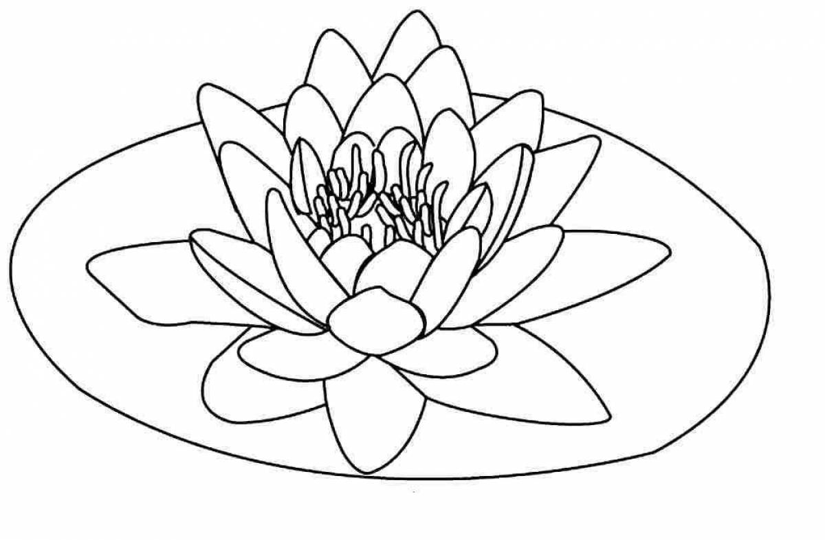 Coloring dazzling lotus