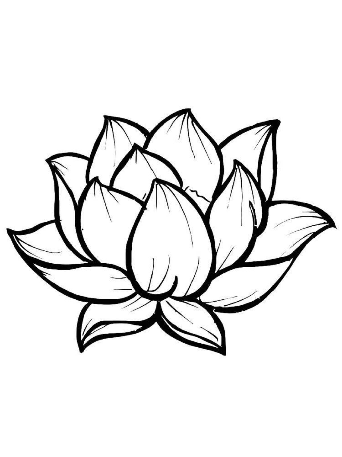 Coloring wild lotus