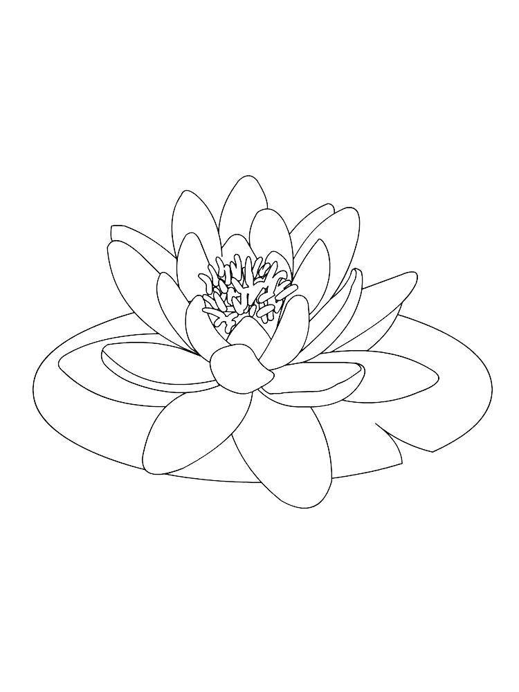Harmonious lotus coloring page