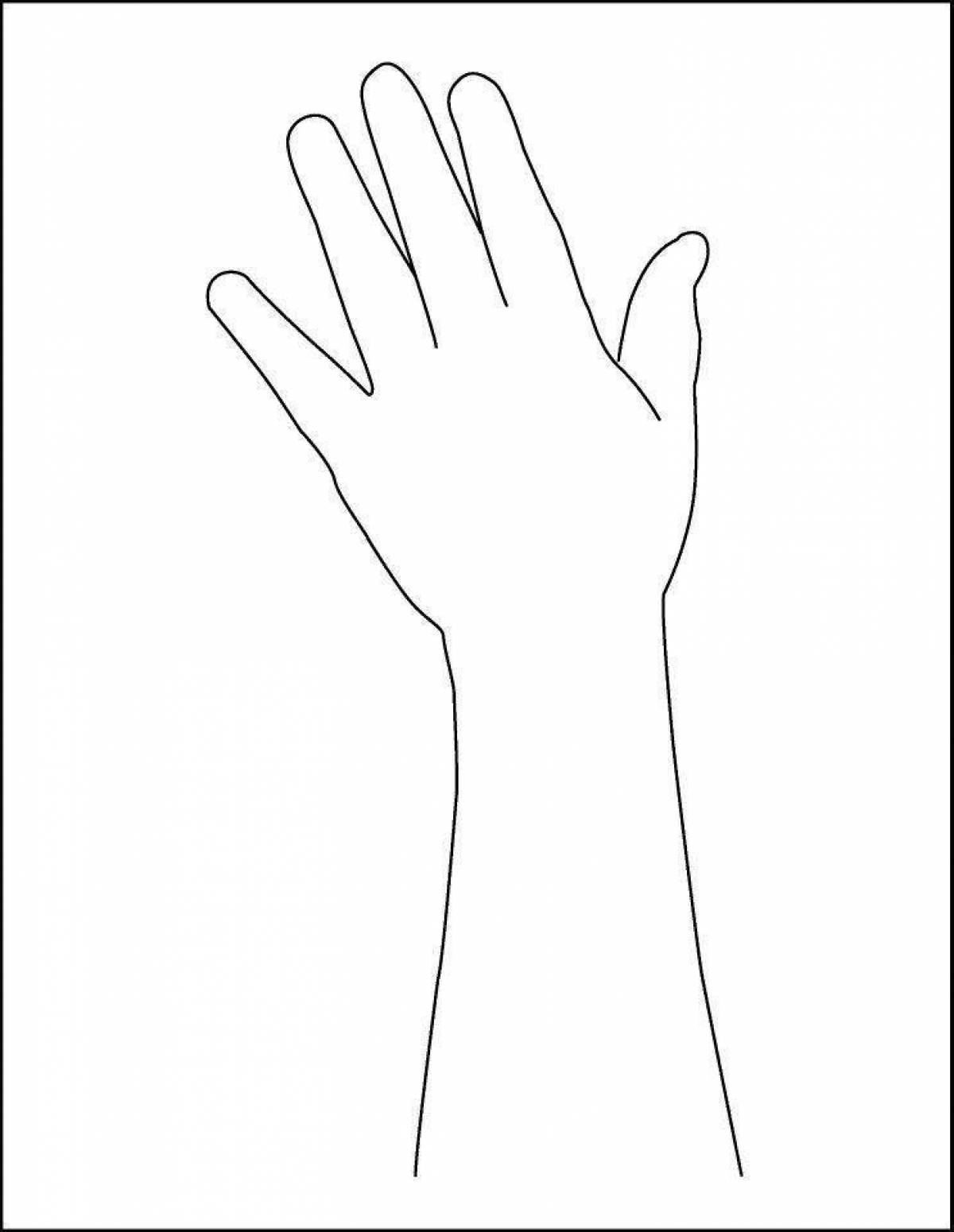 Картинка рука распечатать. Рука раскраска. Рука раскраска для детей. Очертание руки. Руки для раскрашивания для детей.