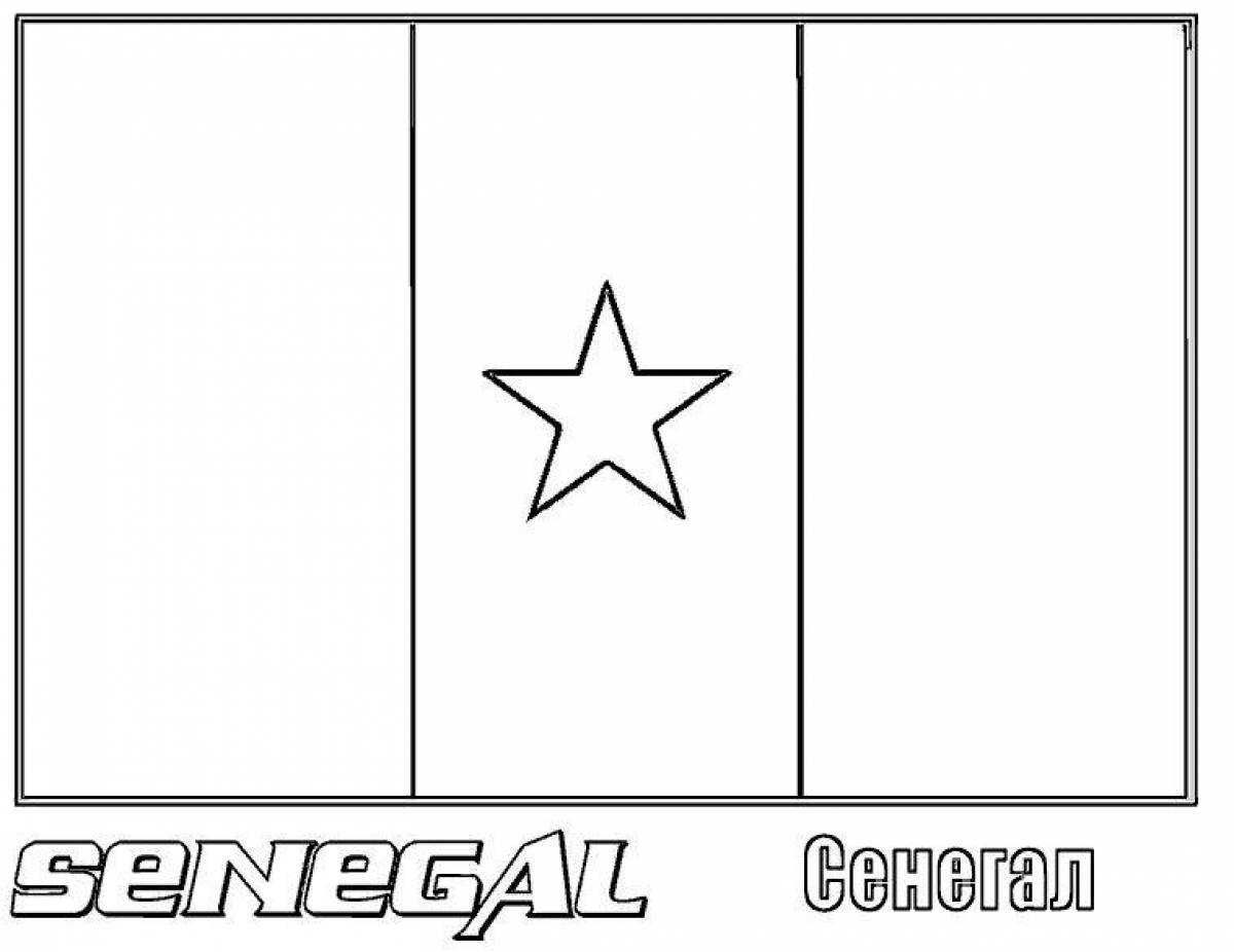 Coloring page gorgeous country flags