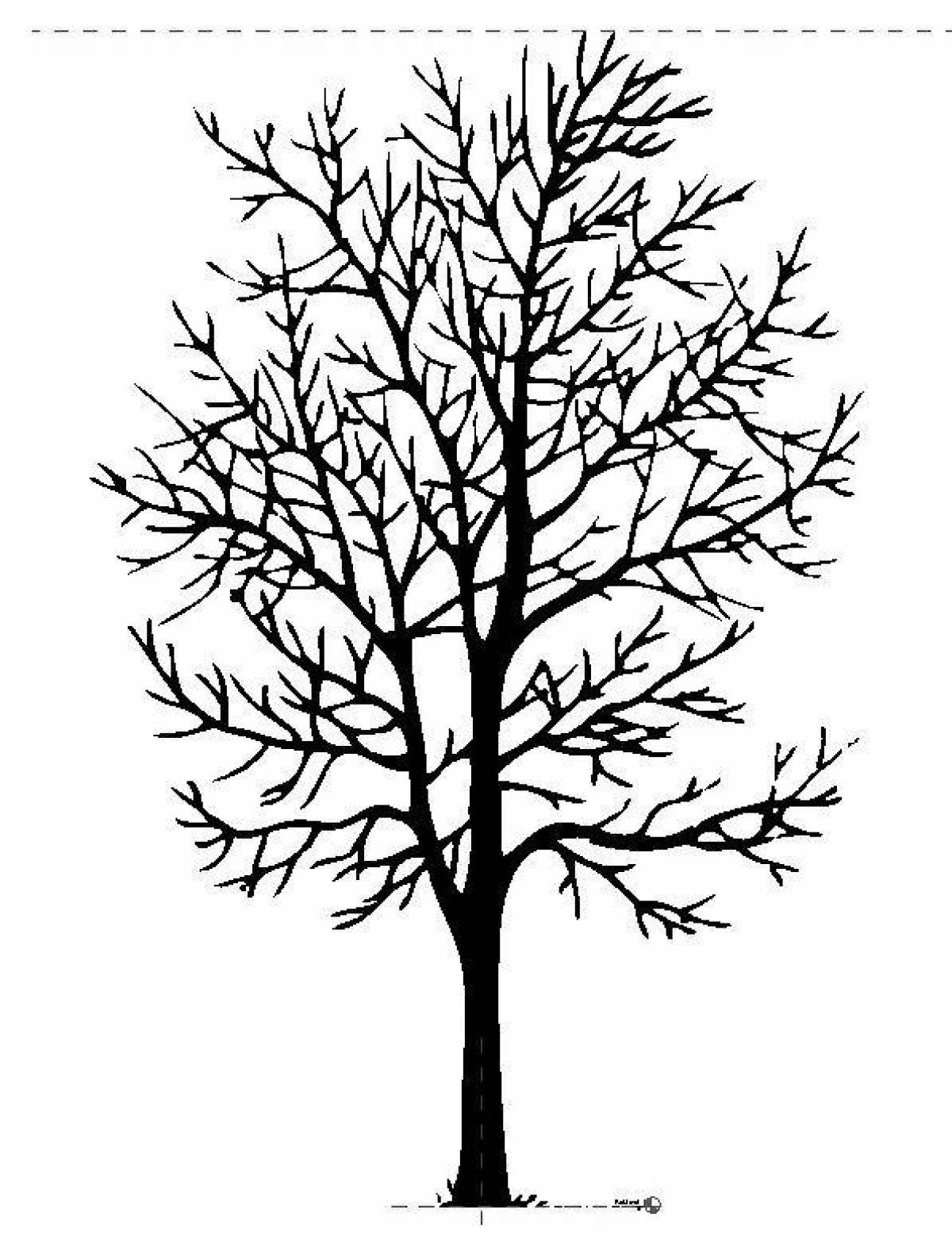 Раскраска мечтательного зимнего дерева