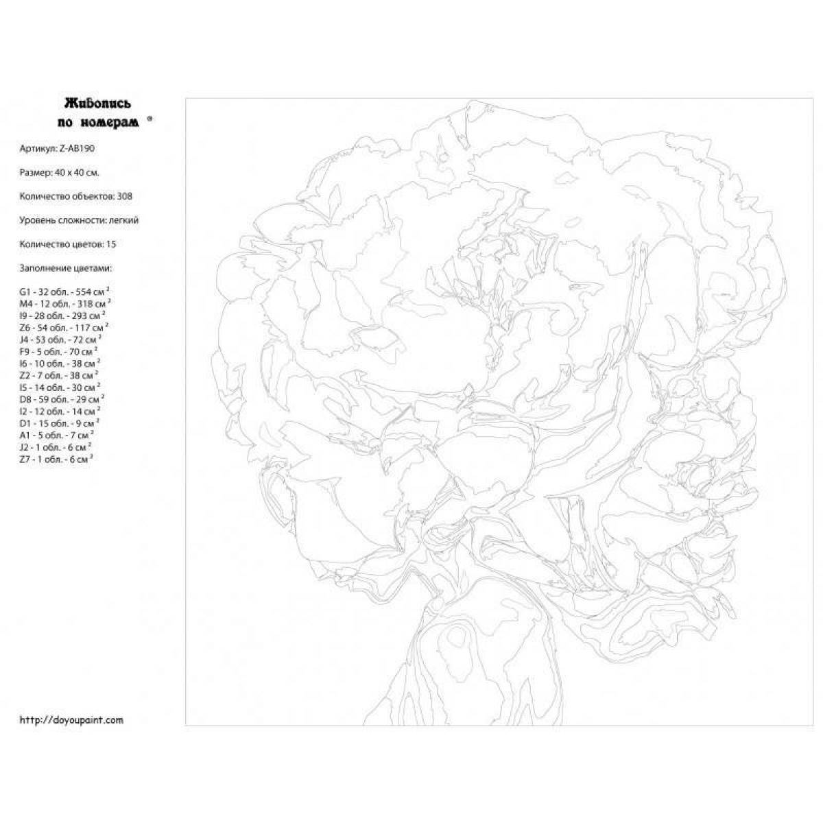 Attractive coloring program by numbers
