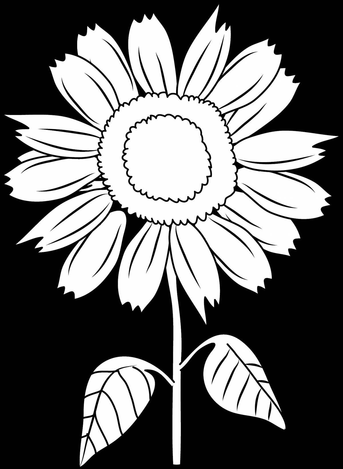 Colorful sunflower coloring pages for kids