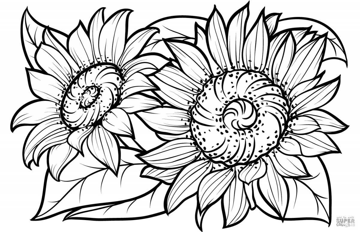 Amazing sunflower coloring pages for kids
