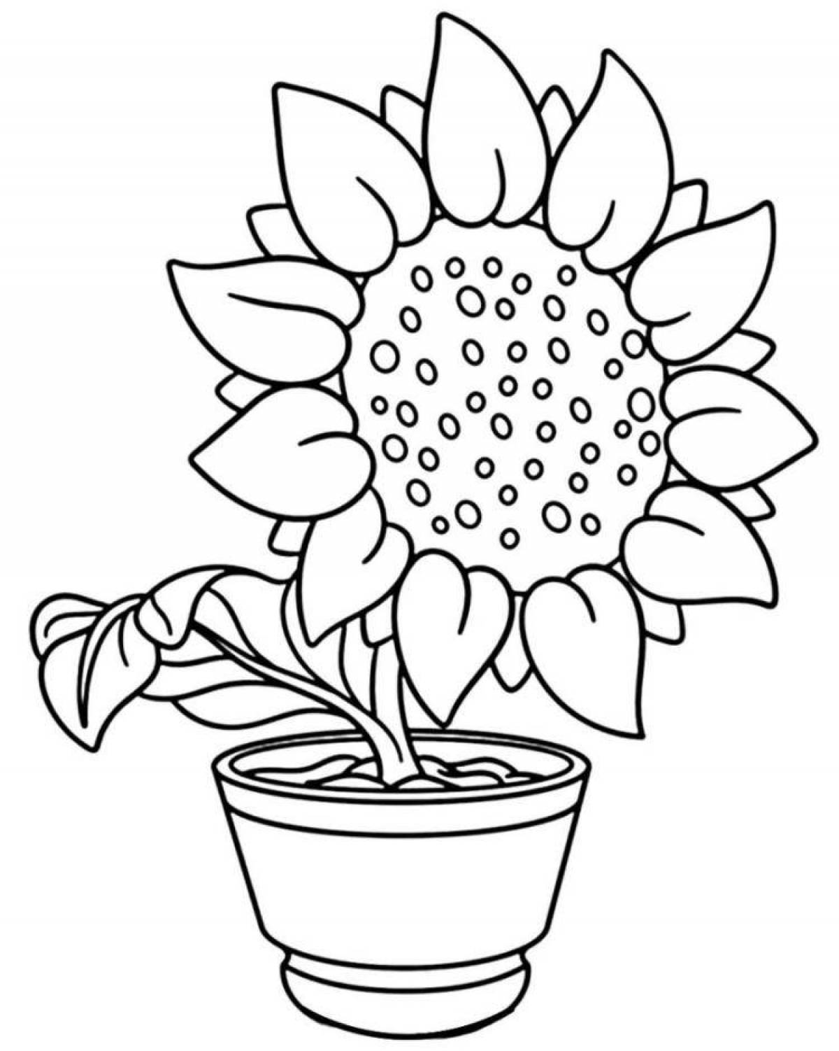 Great sunflower coloring book for kids
