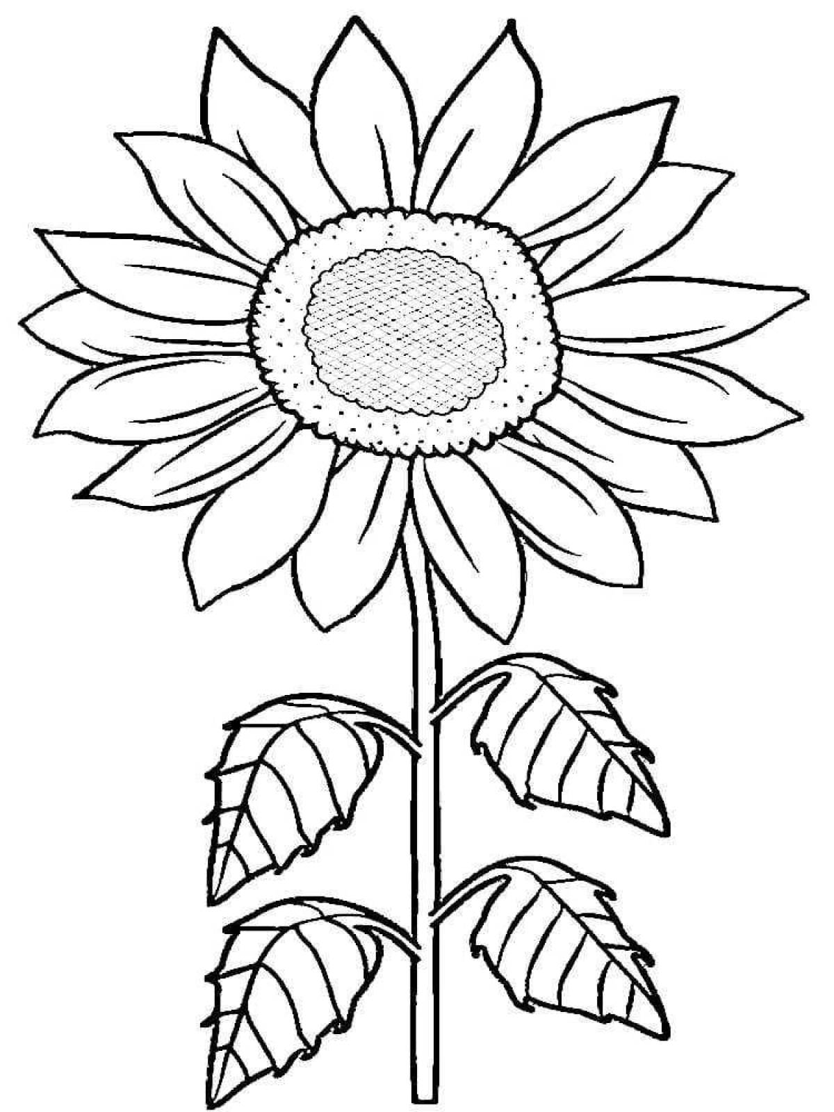 Joyful sunflower coloring for kids