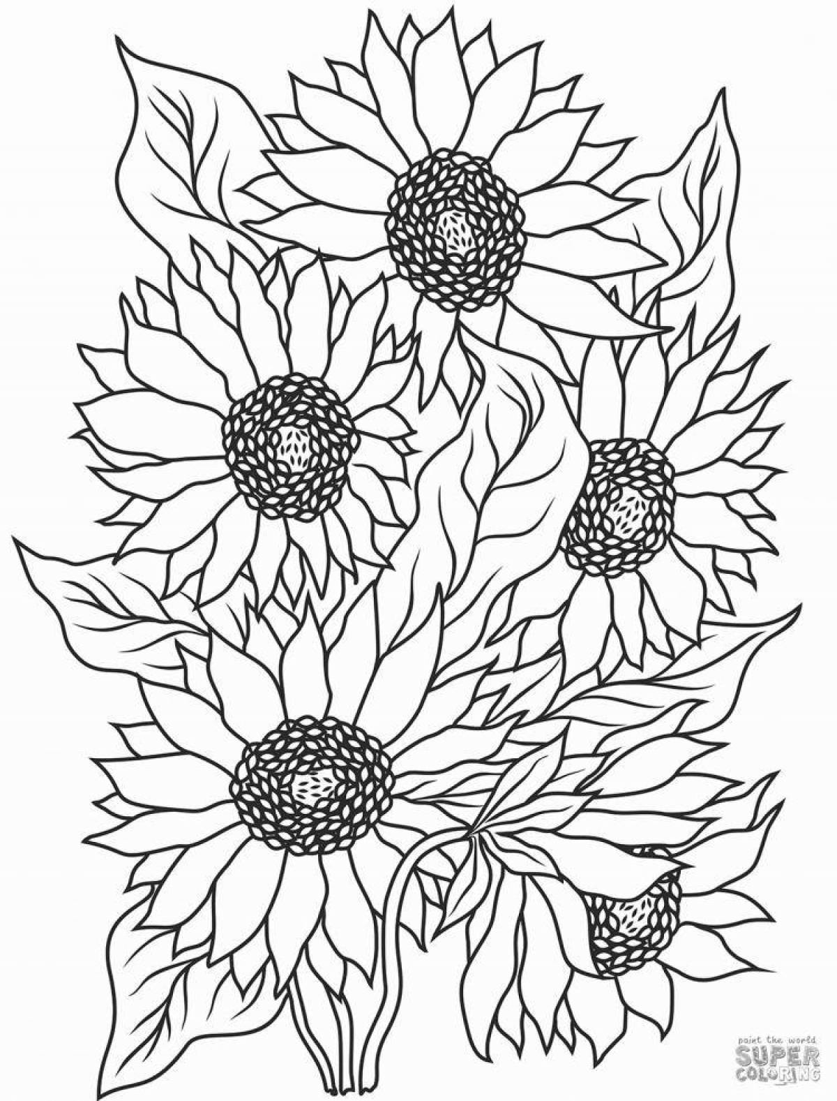 A wonderful sunflower coloring book for kids