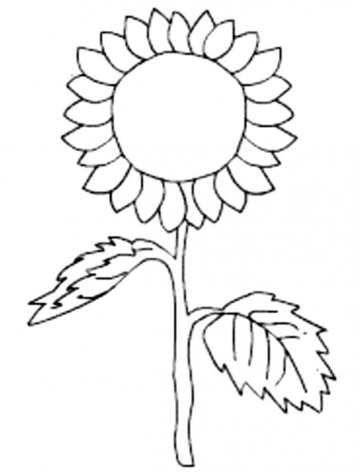 Coloring book shining sunflower for kids