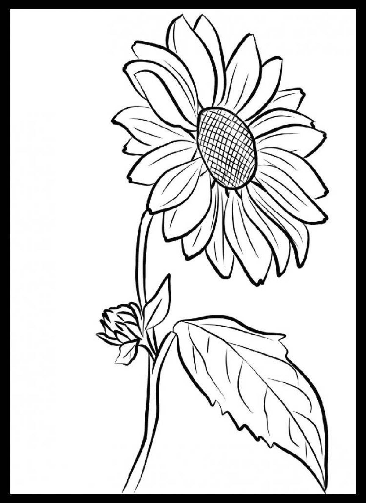 Refreshing sunflower coloring page for kids