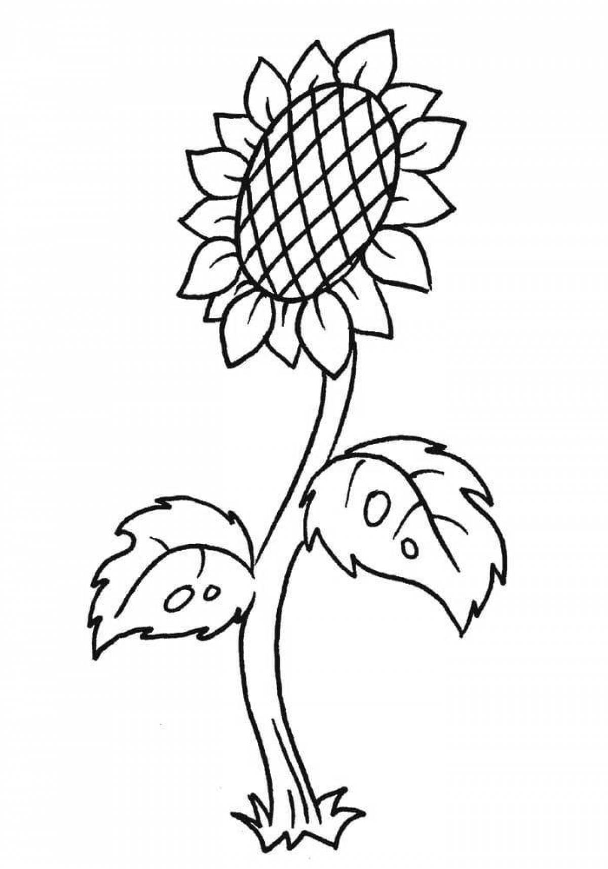 Relaxing sunflower coloring book for kids