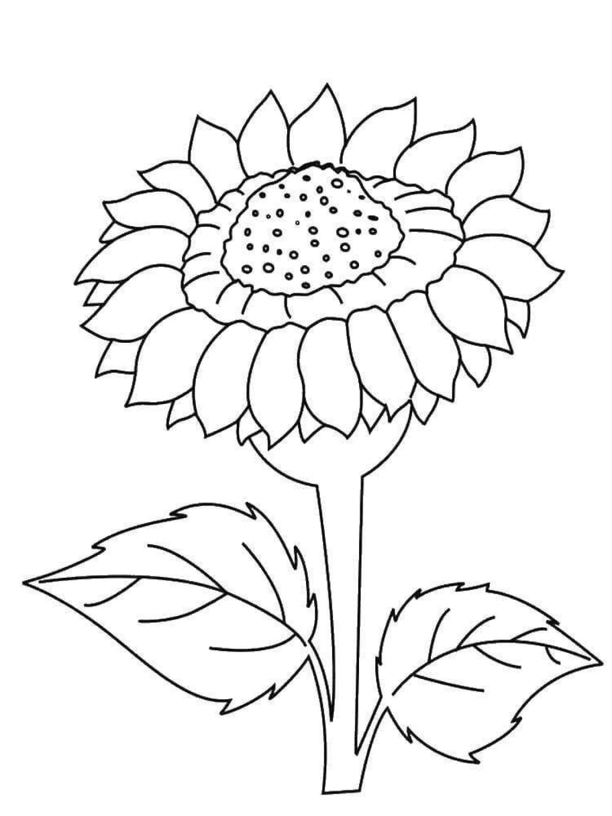 Awesome sunflower coloring pages for kids