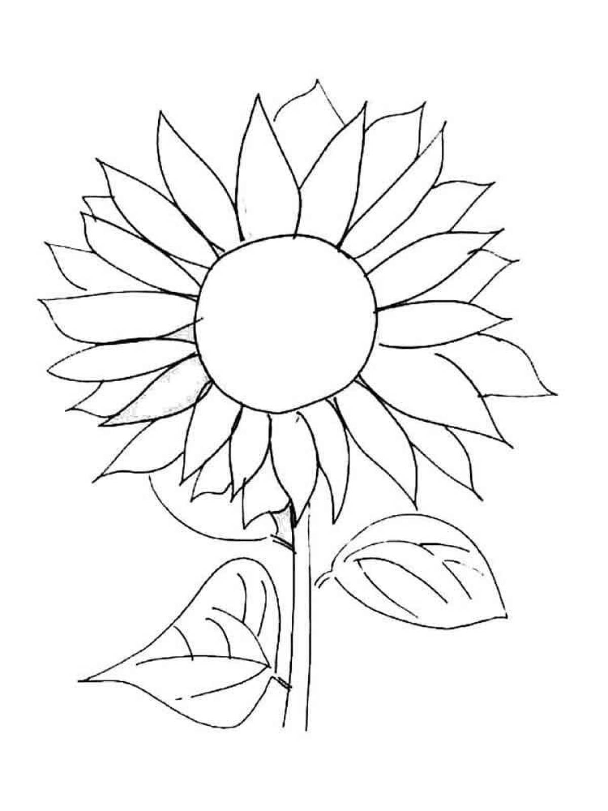 Sunflower coloring book for kids