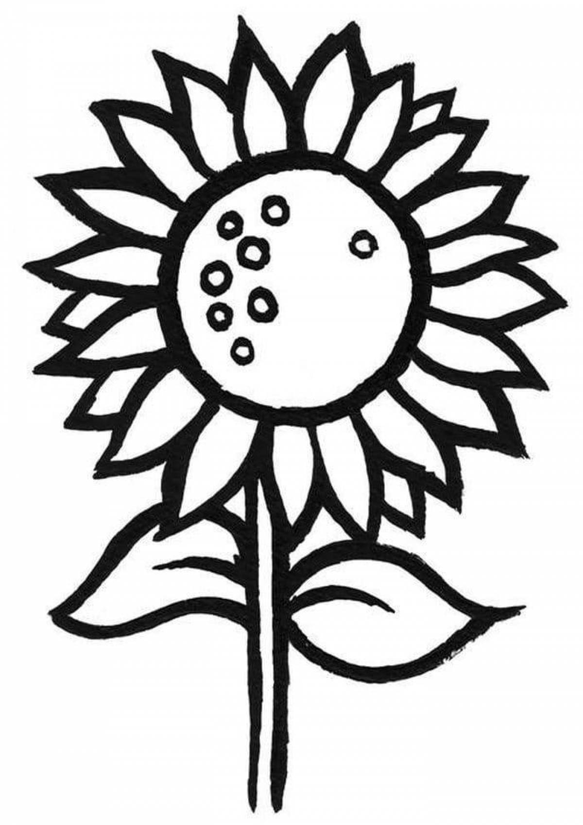 Bright sunflower coloring pages for kids