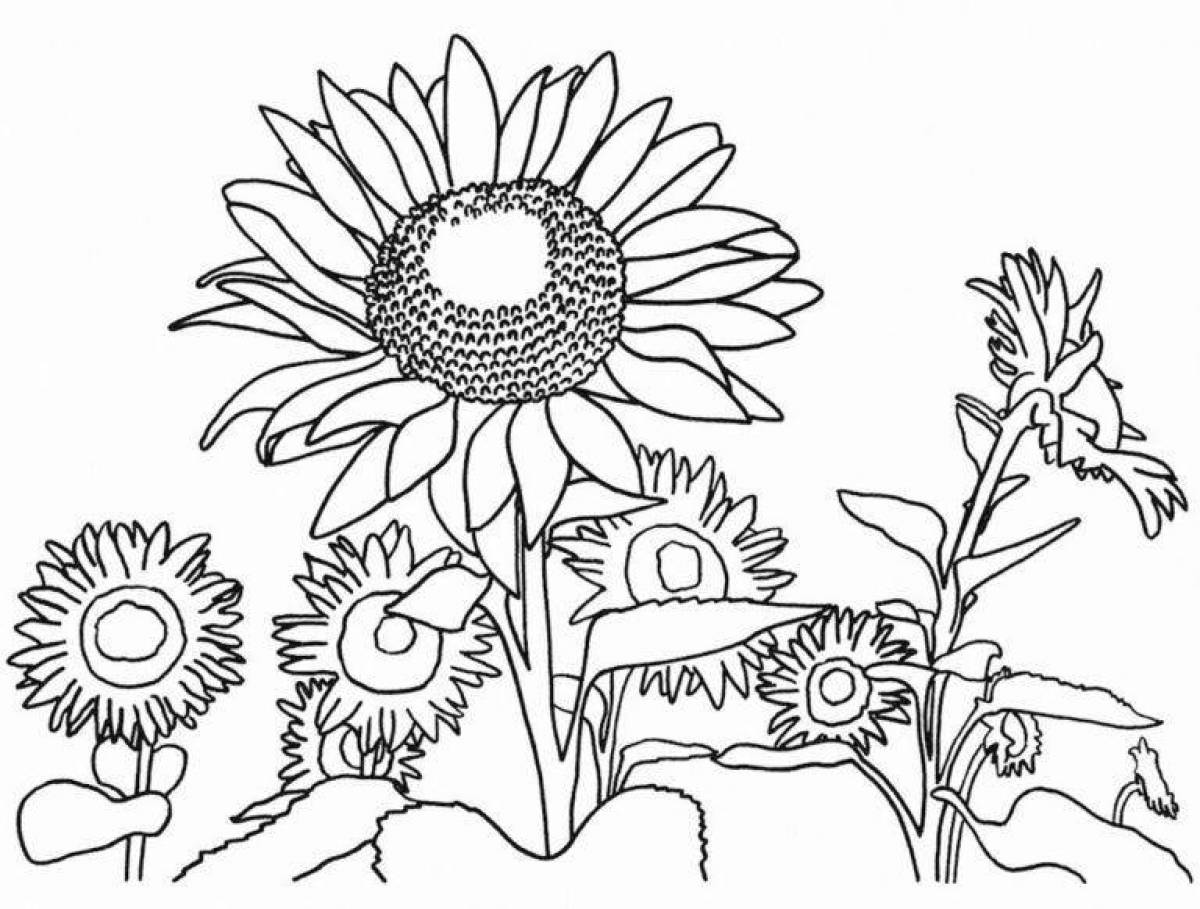 A wonderful sunflower coloring book for kids