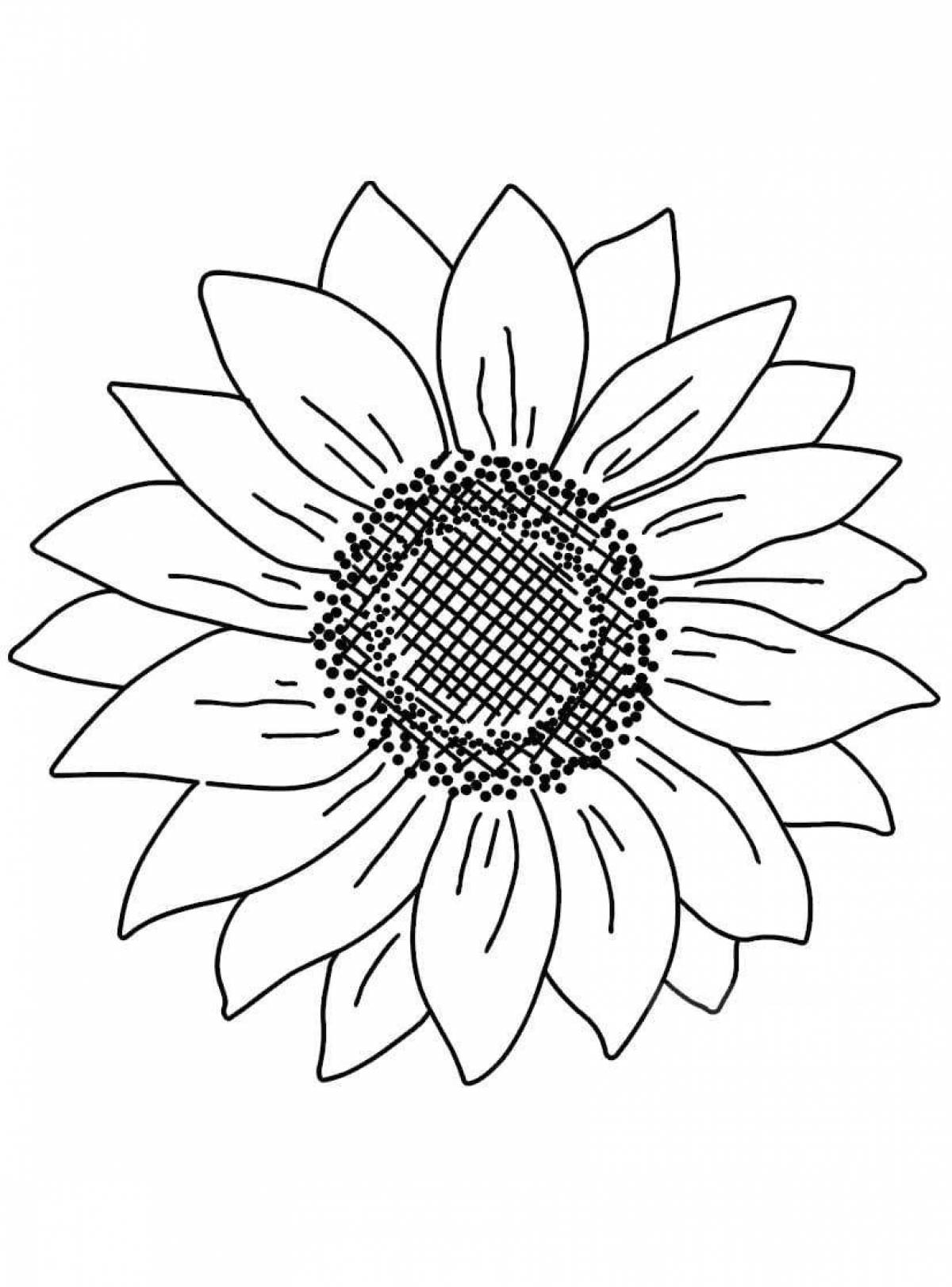 Amazing sunflowers coloring book for kids
