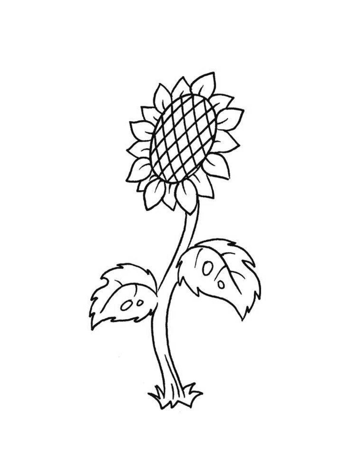 A fun sunflower coloring book for kids