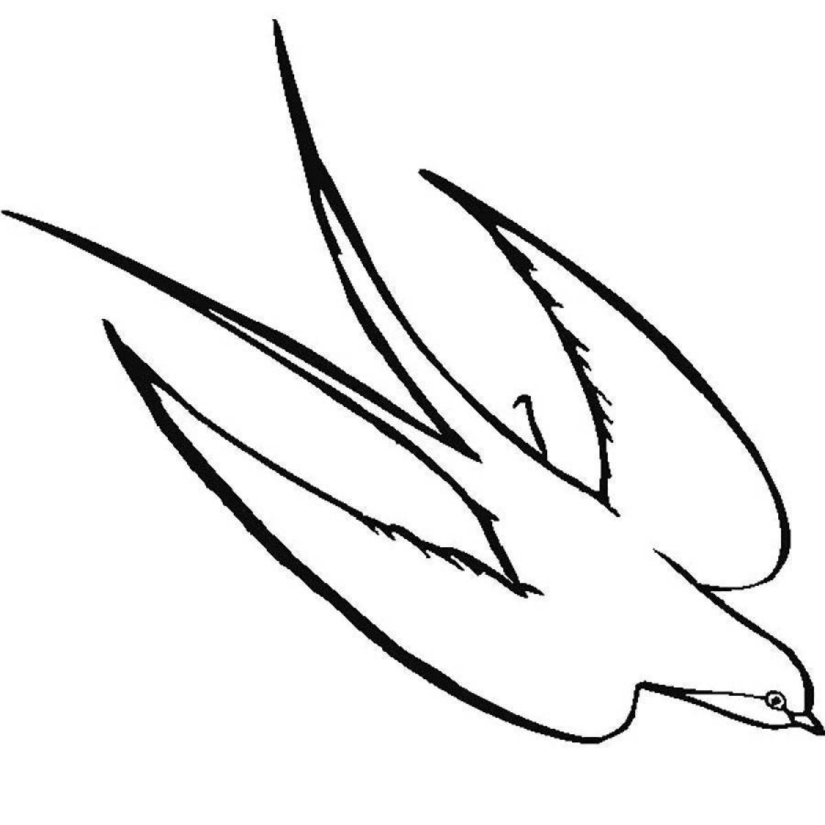 Playful swallow coloring book for kids