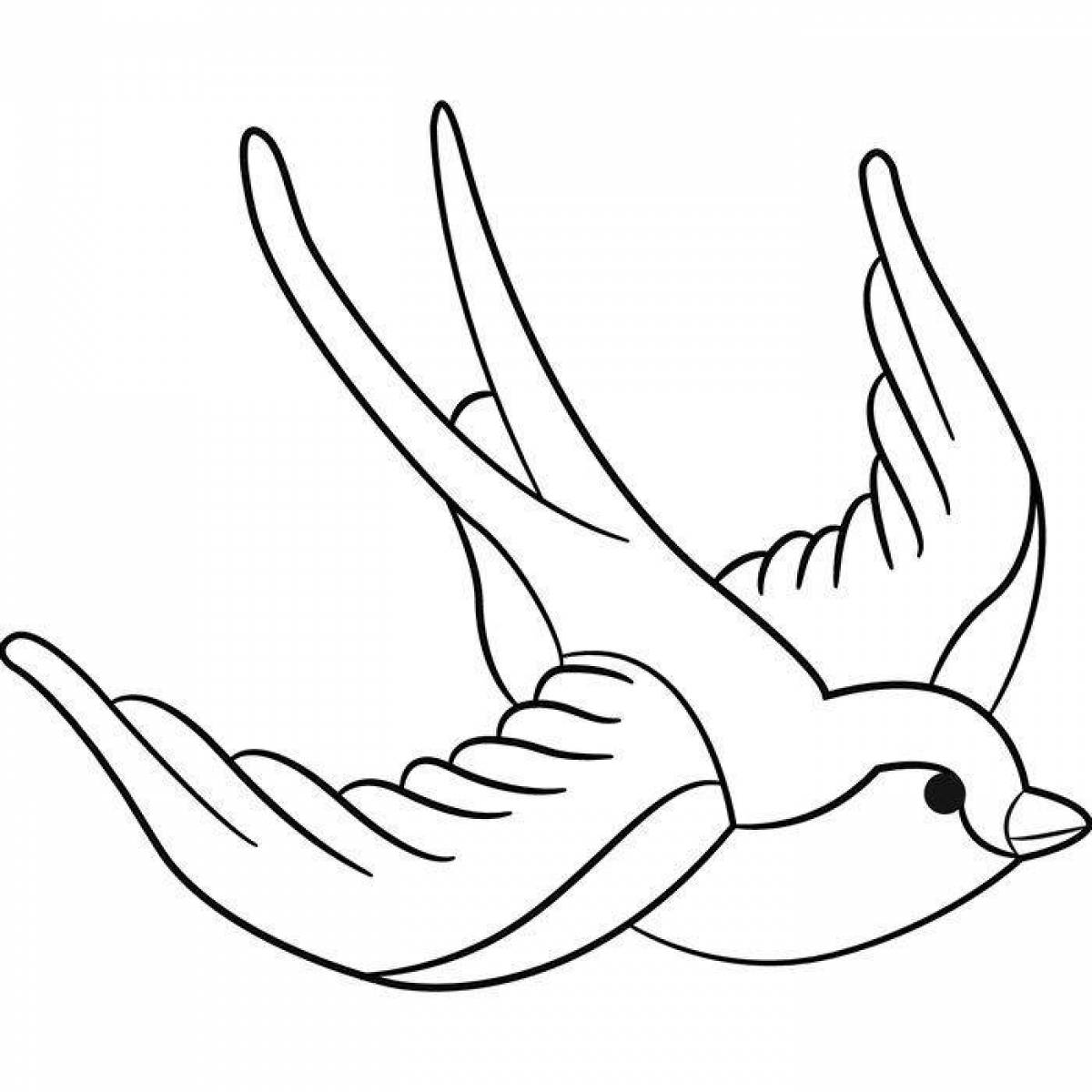 Adorable swallow coloring book for kids